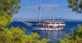 Cesarica Motor Sailer Charter Croatia 2